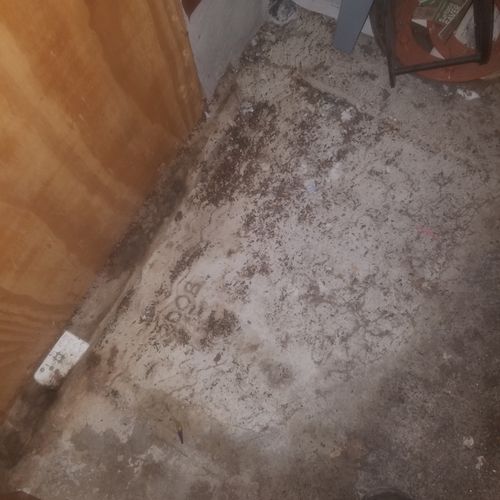 Mice droppings before clean up