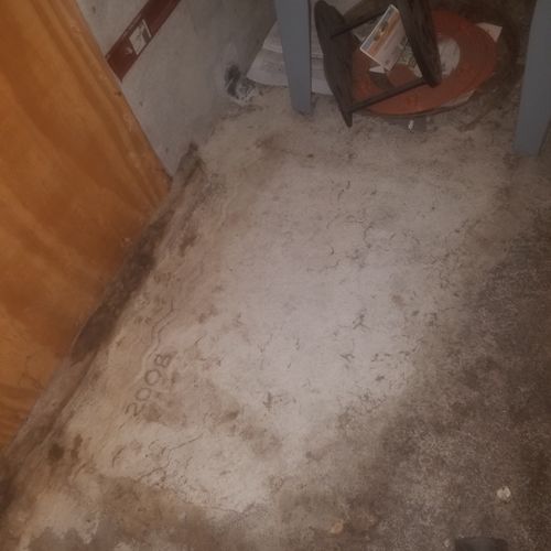 Mice droppings after clean up