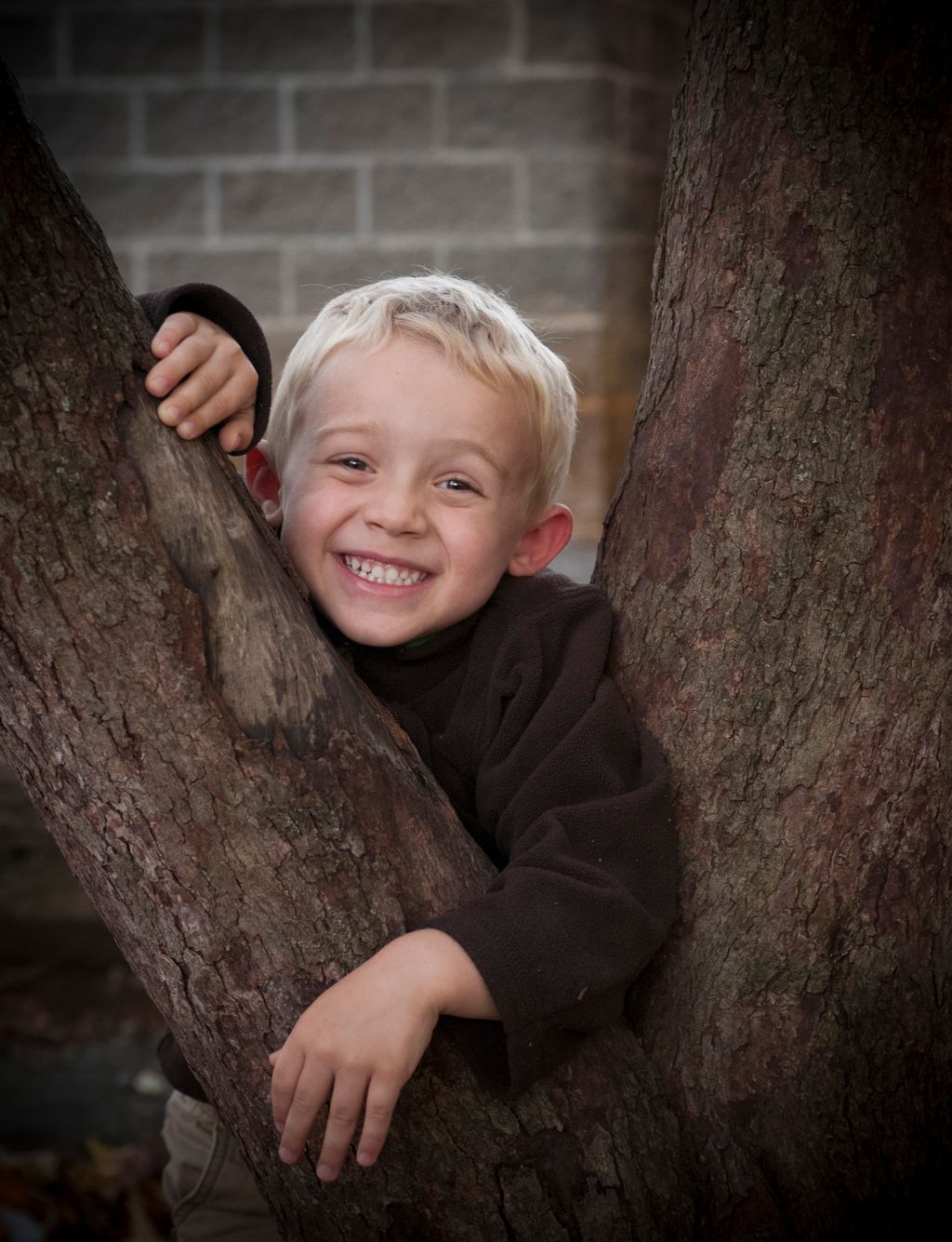 Boy in Tree