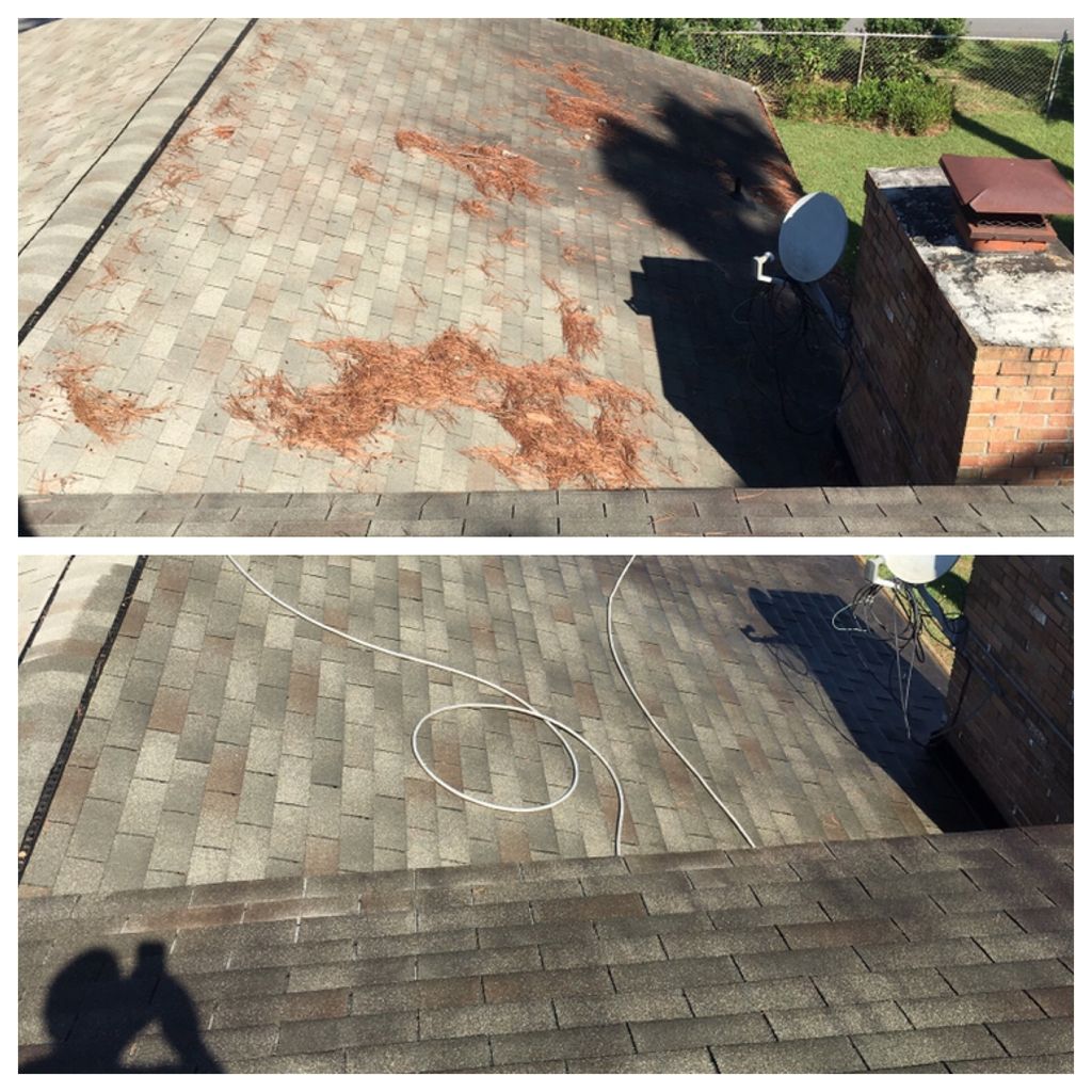 Roof cleaning