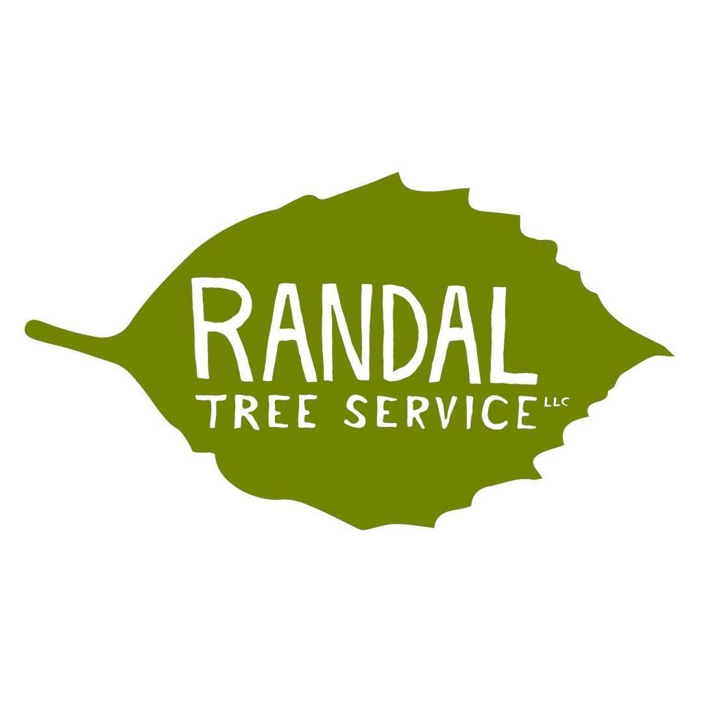 Our new logo! Thanks 8-Bit Rex.