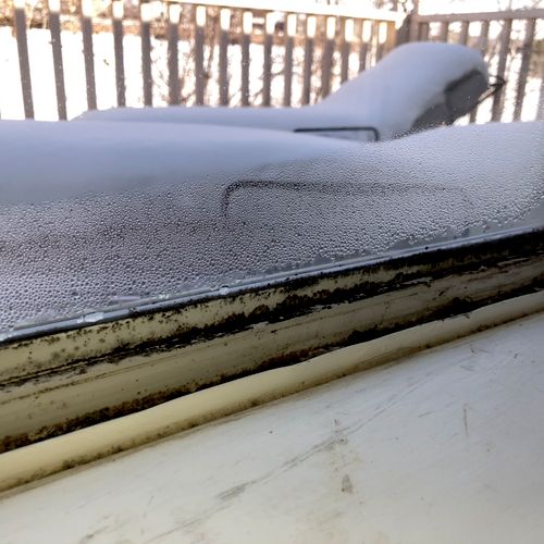 Mold in the window sill