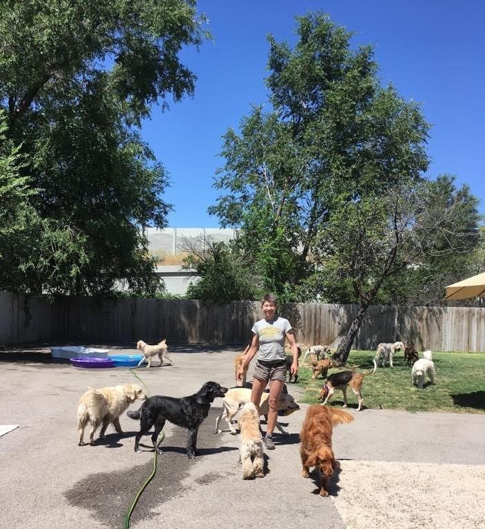 Summertime at the Aarf House!