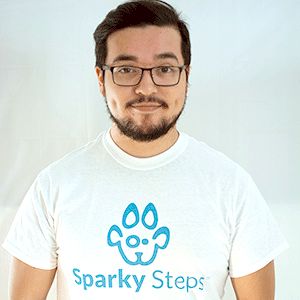 Sparky Steps - Chicago Dog Walking and Cat Sitting