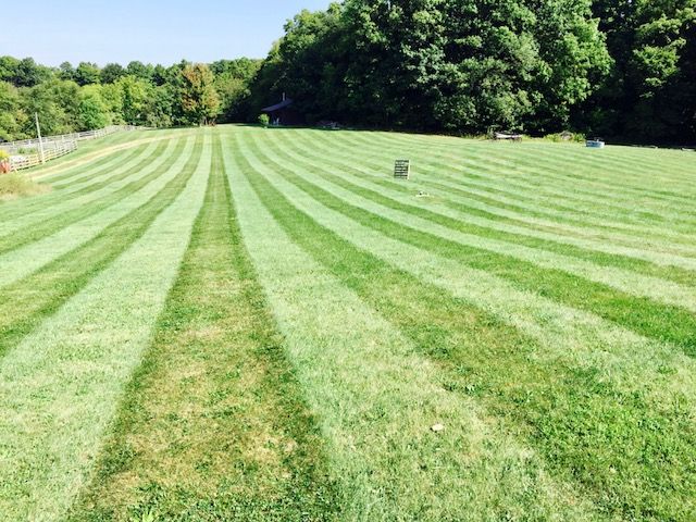 Lawn Mowing and Trimming