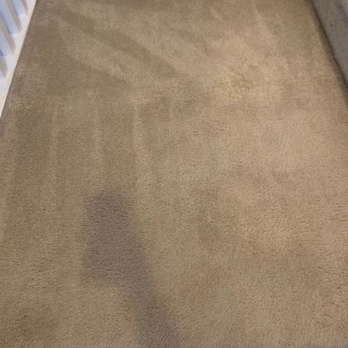 We have hired numerous carpet cleaning companies o