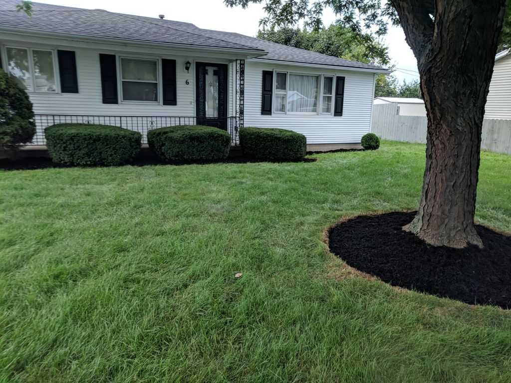 Front yard after mulching & edging