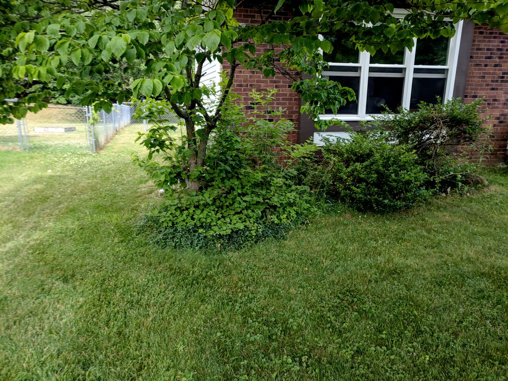 Prior to weeding and creating a new garden bed wit