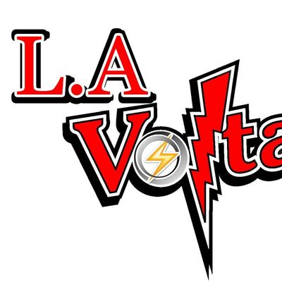 Avatar for LA Voltage Inc