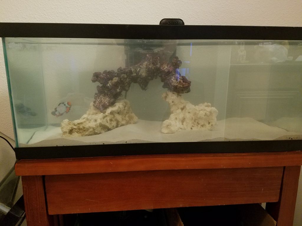 Customer photos