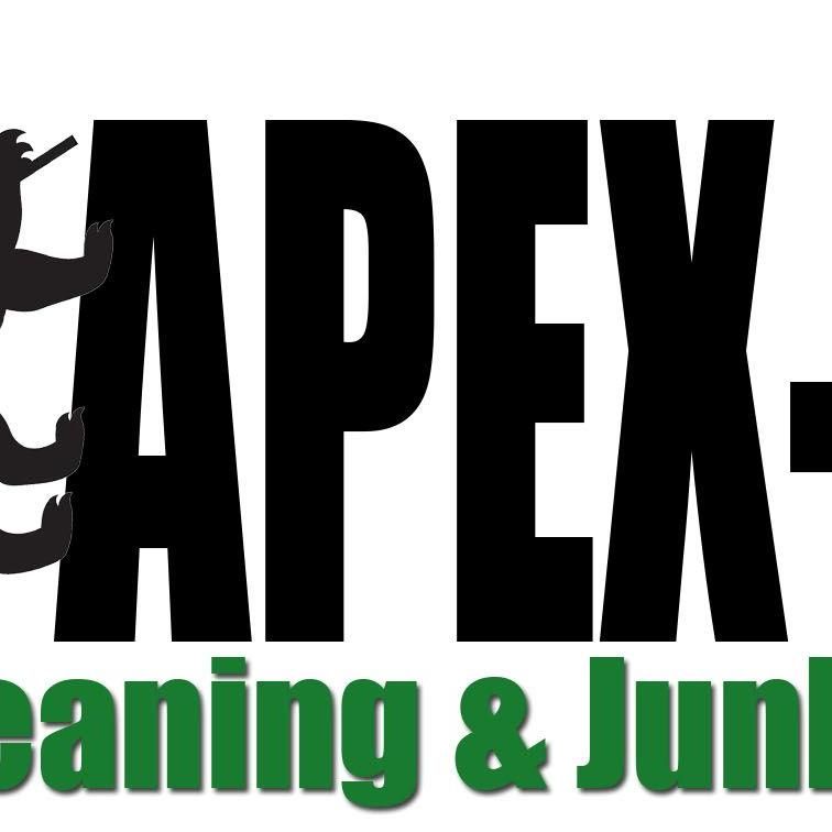 Apex Fast Response Junk Removal
