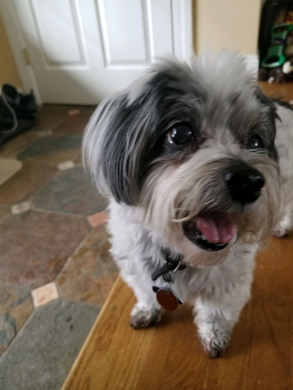 Bailey! 