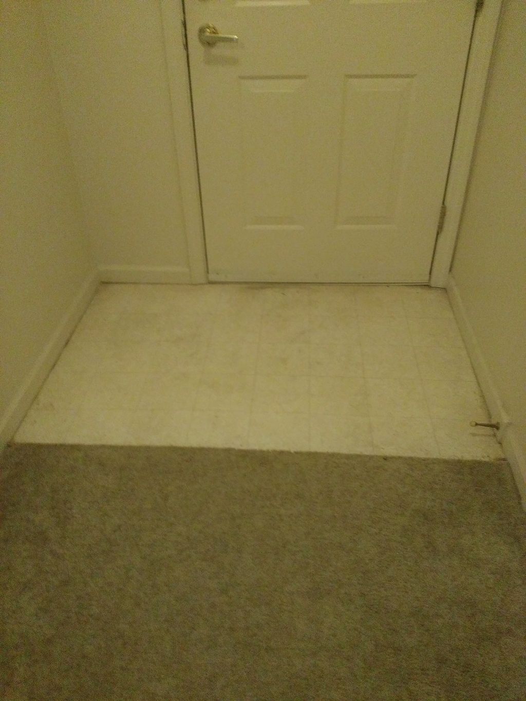 entry way tile floor ( before)