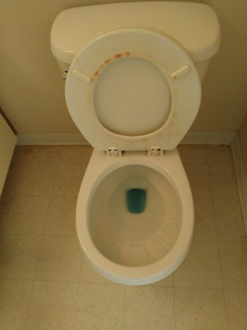 dirty toilet