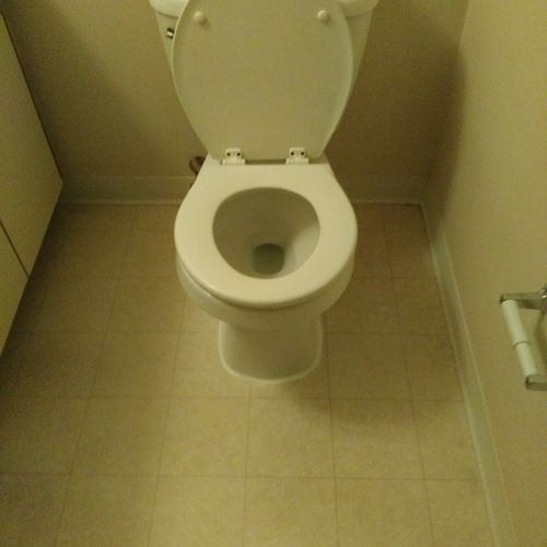 clean toilet