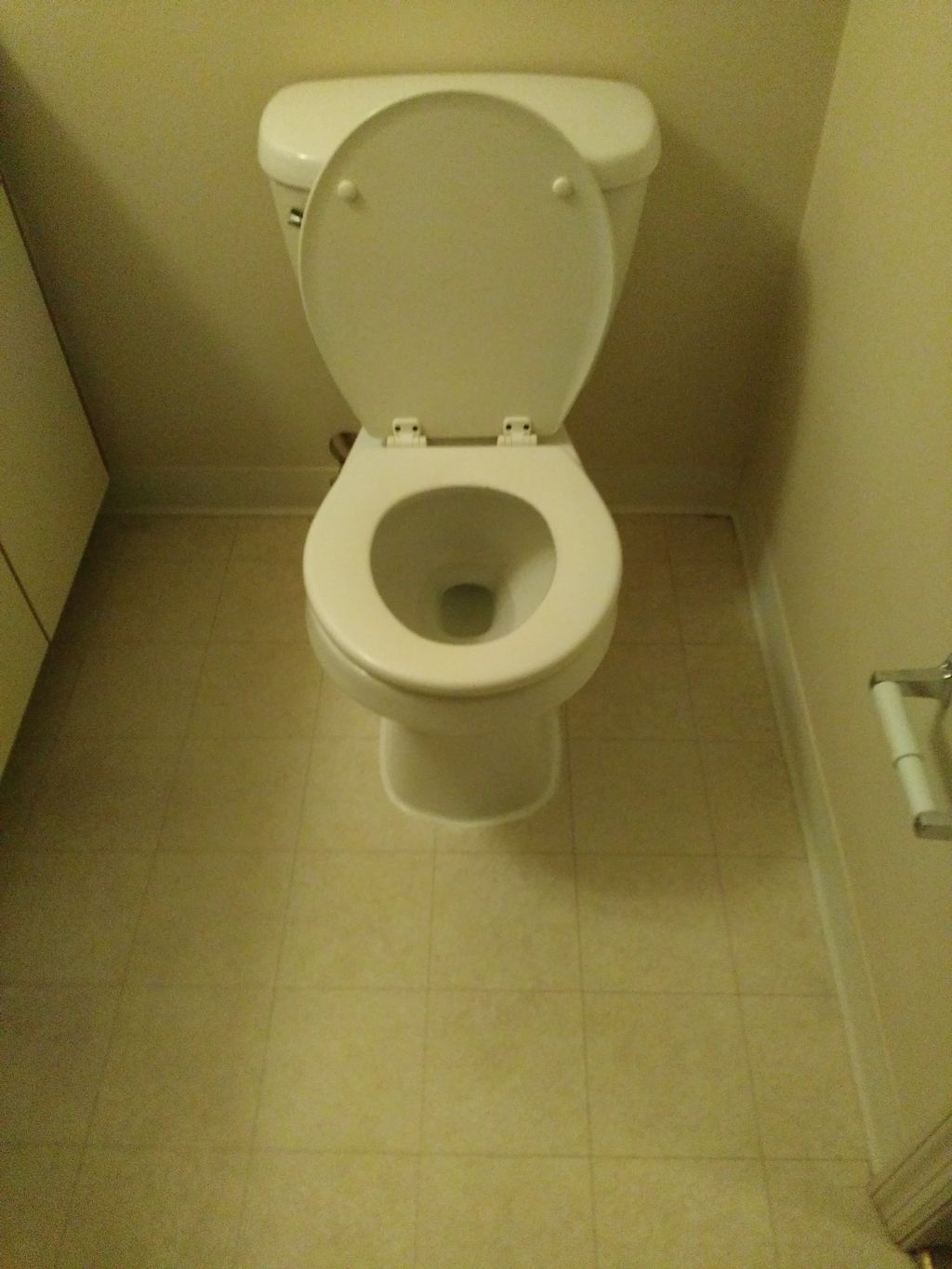 clean toilet