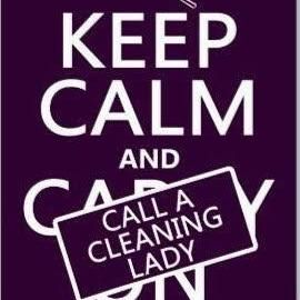 H-D cleaning service