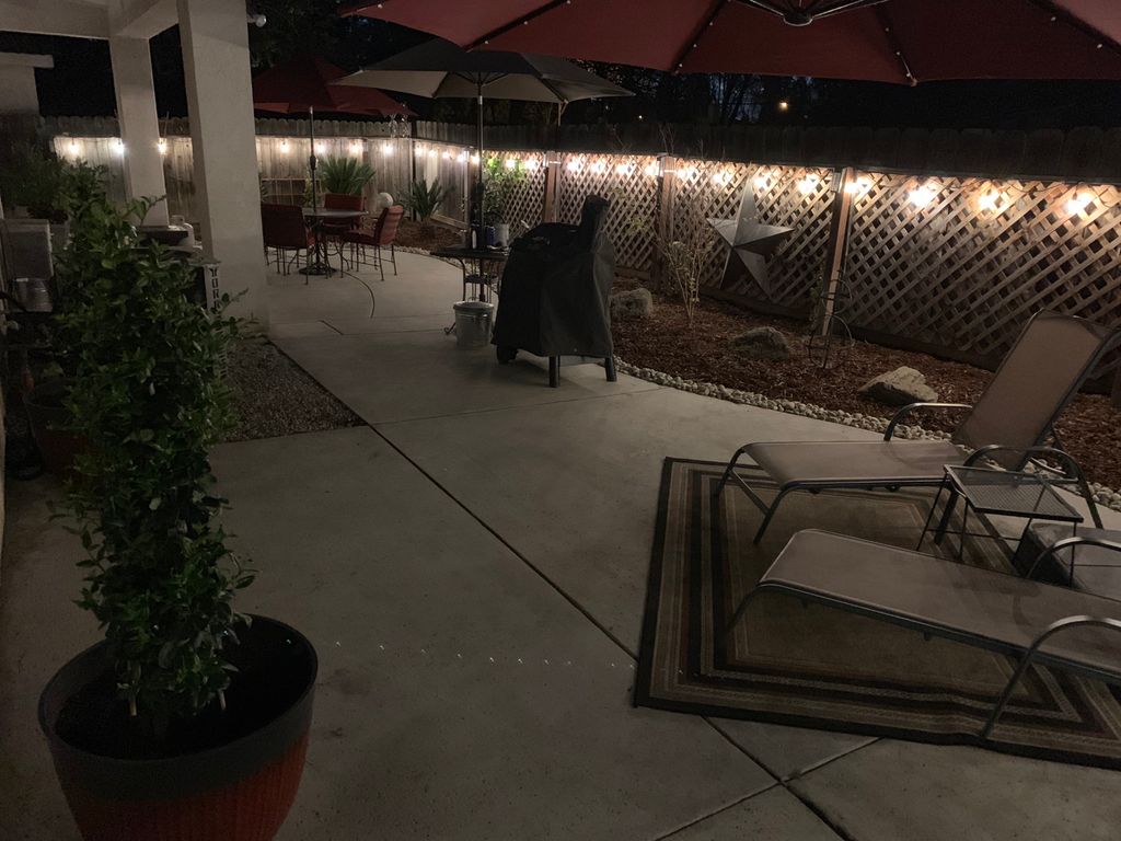 This job was really fun! We installed new plants, 