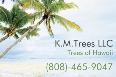 Avatar for K.M.Trees & Masonry LLC