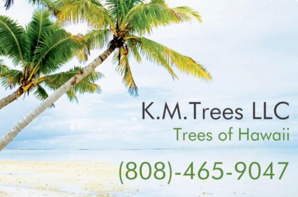 K.M.Trees & Masonry LLC