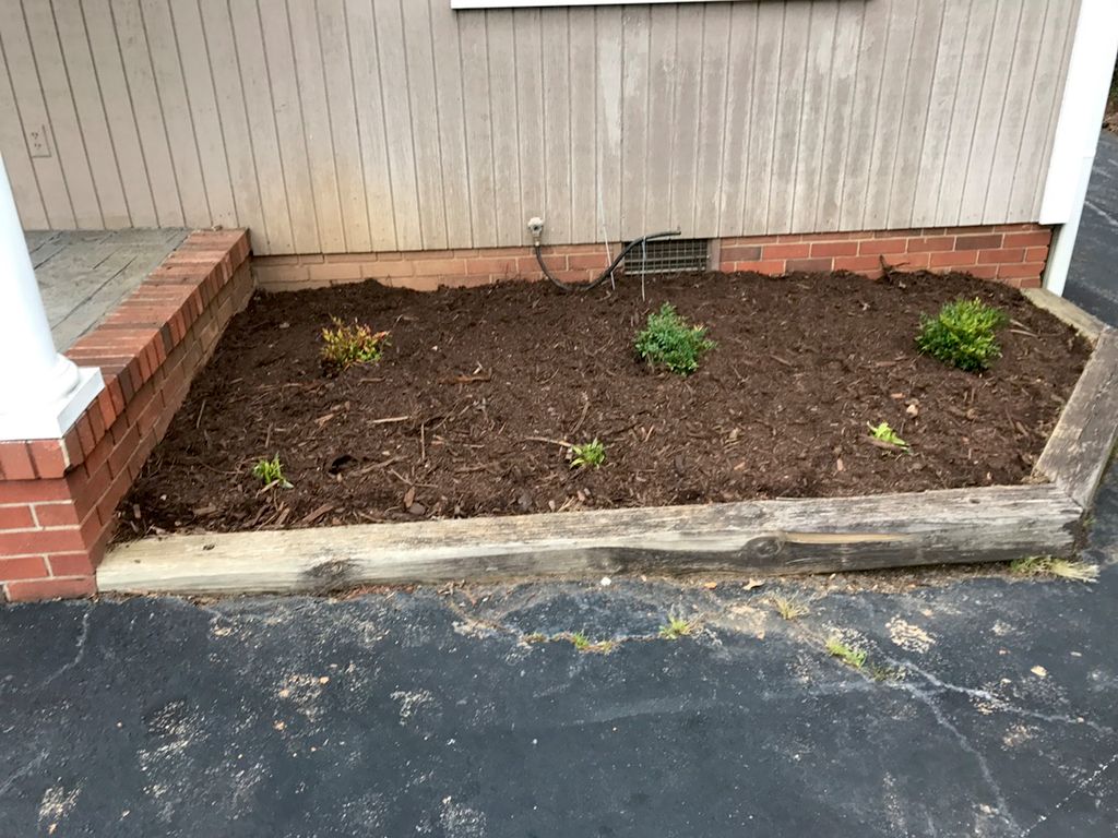 Mulch and bush plantings