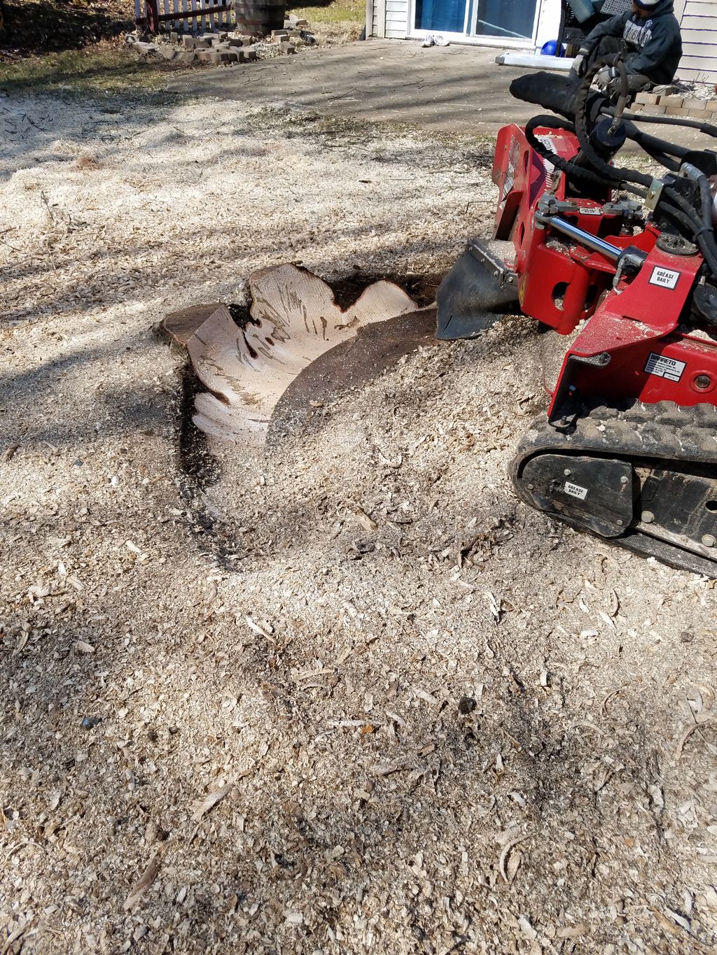 During Stump Grinding 3/16/2019