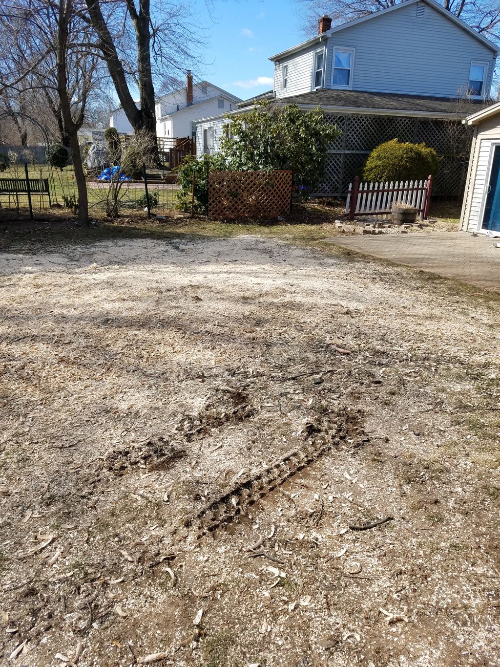 After completing Tree and stump removal 3/16/2019