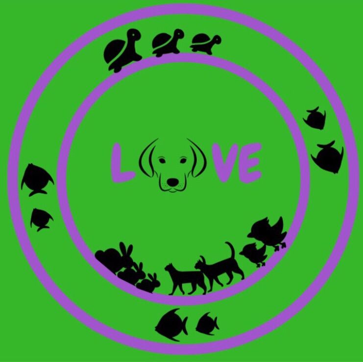One Love Pet Care NY