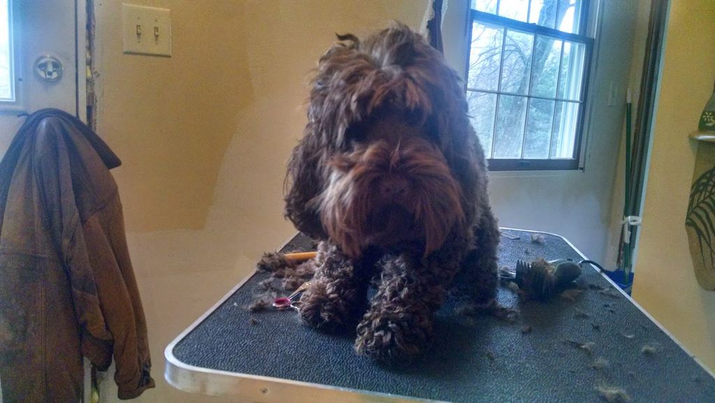 Coco before 