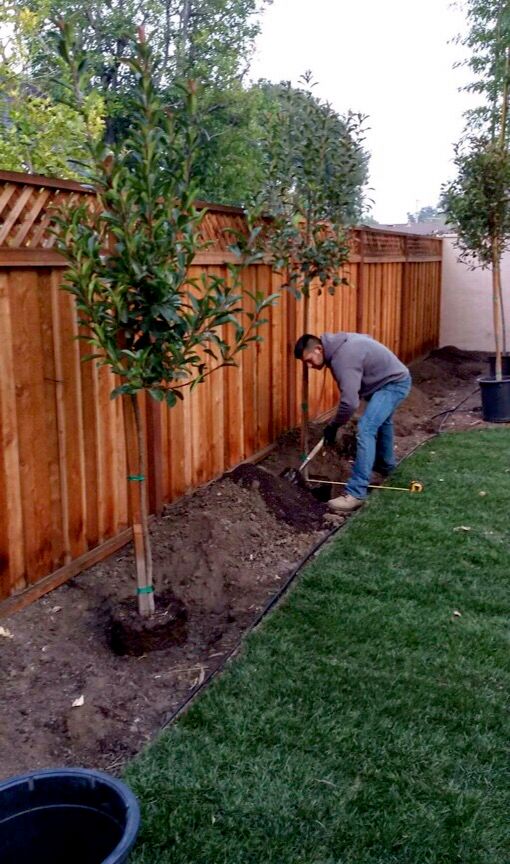 Jose Valencia Tree service and landscape