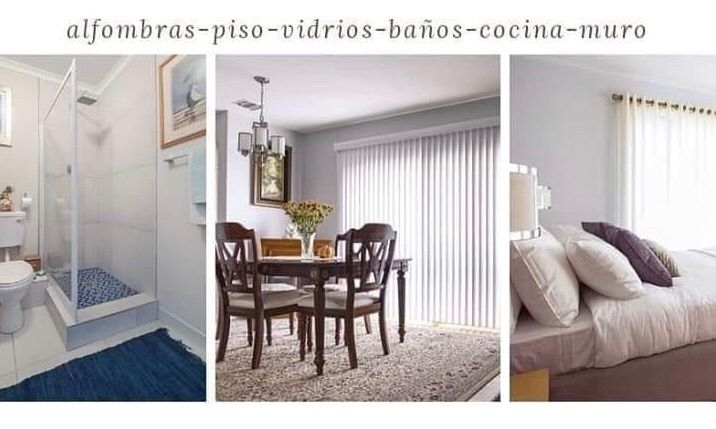 Cleaning carpets, floor, windows, etc 