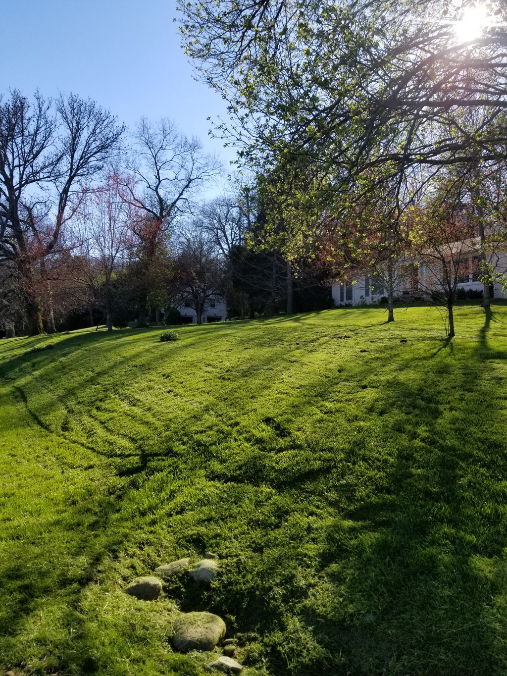 Residential customer. After photo. By PolarBear1La