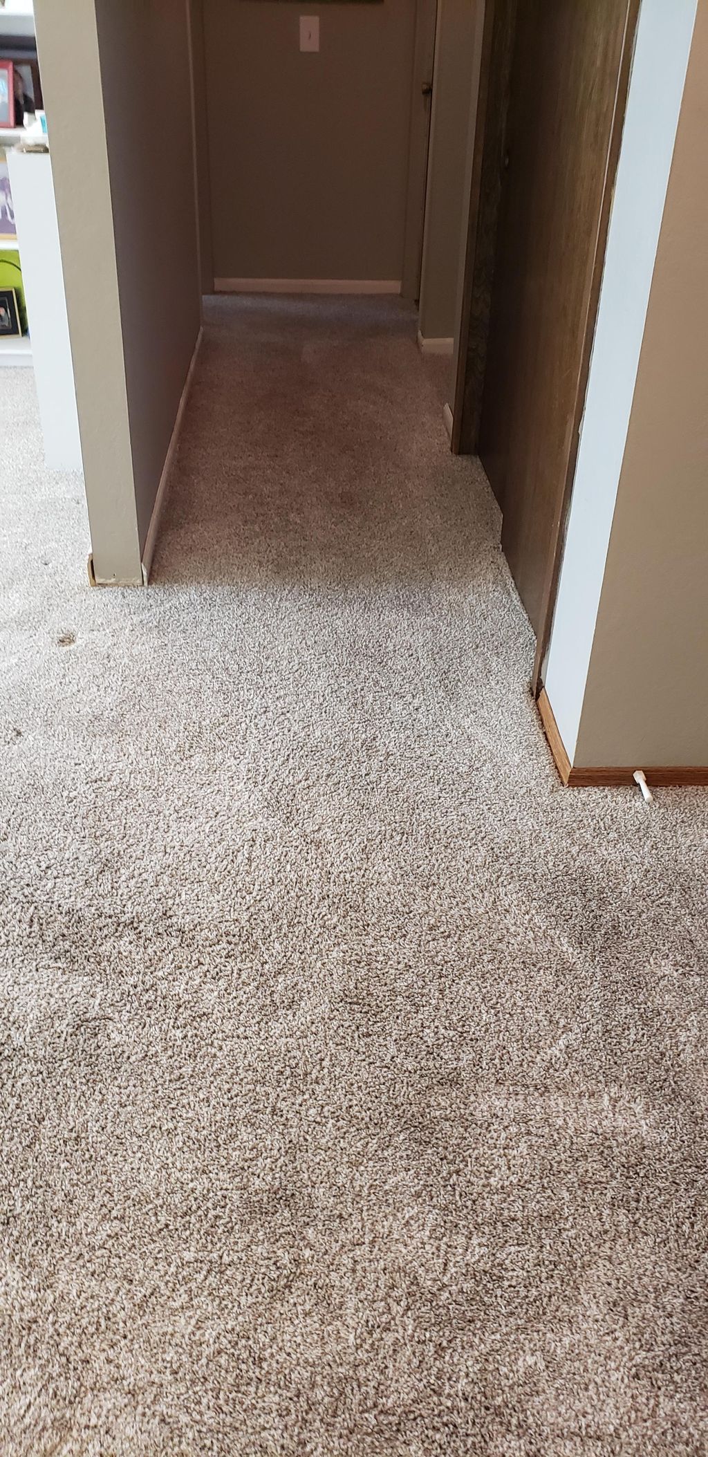 Hall Carpet After