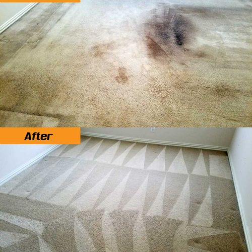 ProGeneralService - Carpet Cleaning
