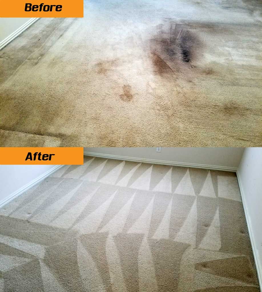 ProGeneralService - Carpet Cleaning