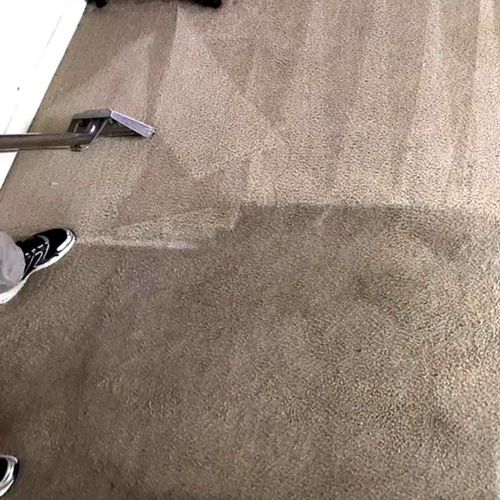 ProGeneralService - Carpet Cleaning