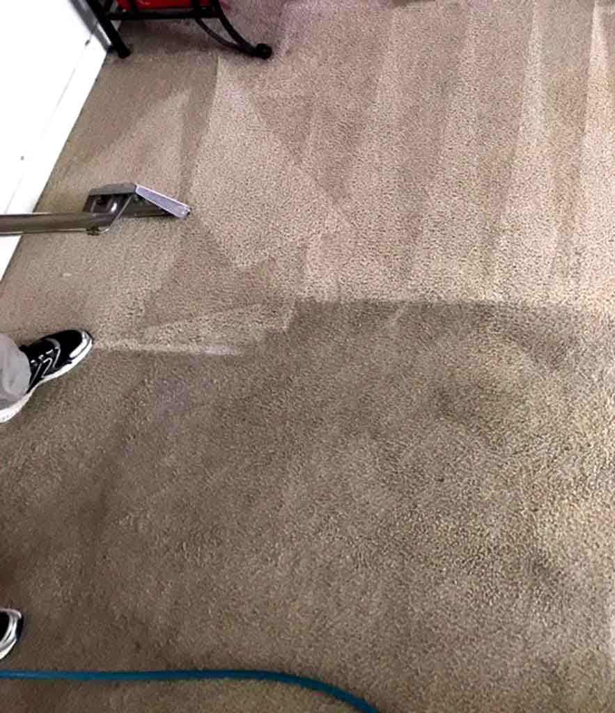 ProGeneralService - Carpet Cleaning