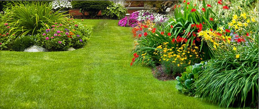 Finished weeding and mulching job