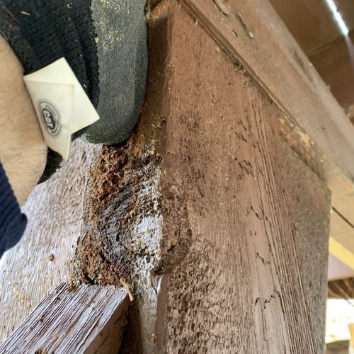 This post and beam are rotted halfway thru. this i
