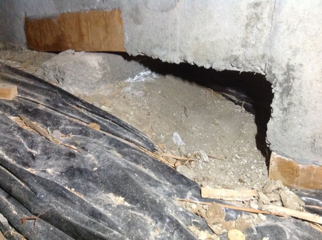 Crawl space inspection shows access between units 