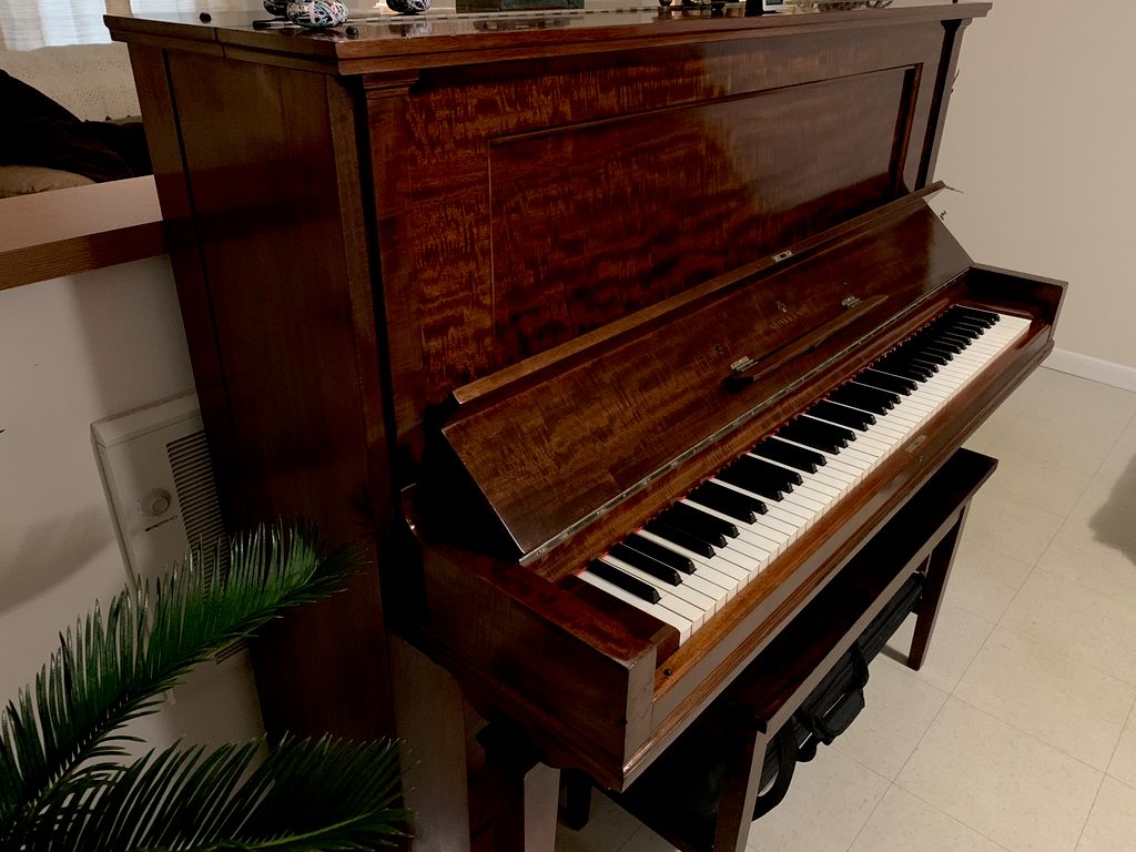 Restored 1904 Steinway Vertegrand (52” Model K) 