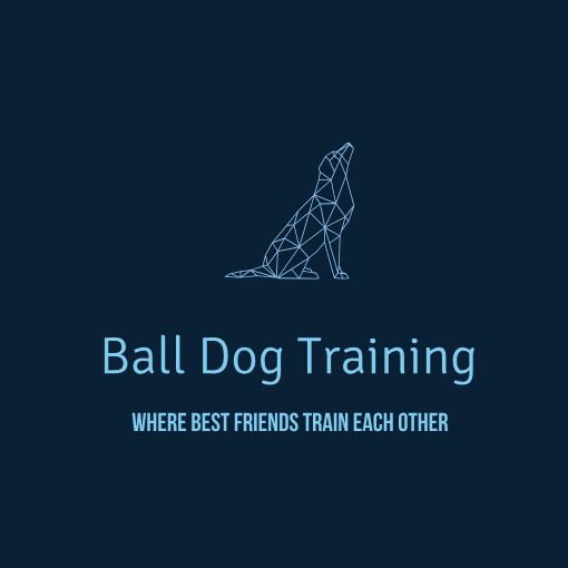 Ball Dog Training