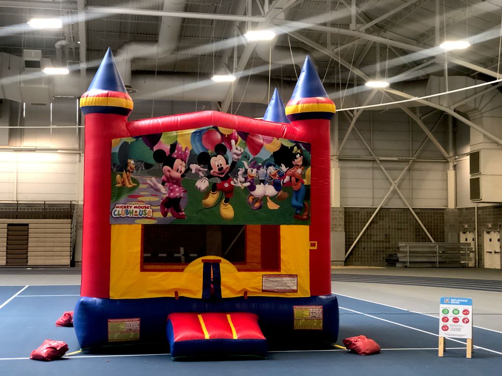 Bounce House and Party Inflatables Rental