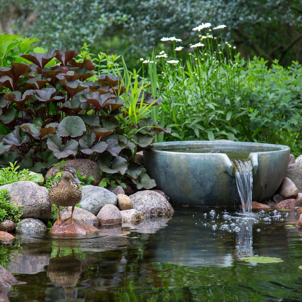 Pondman , Master Aquascape Contractor