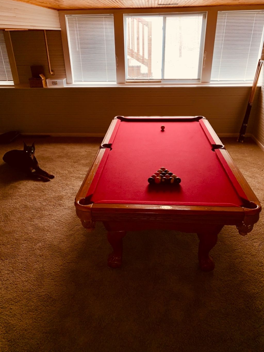 Customer photos