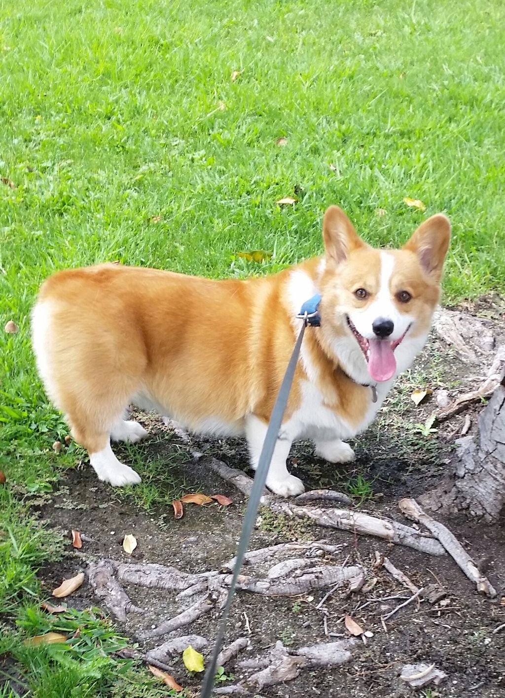 What a handsome boy!