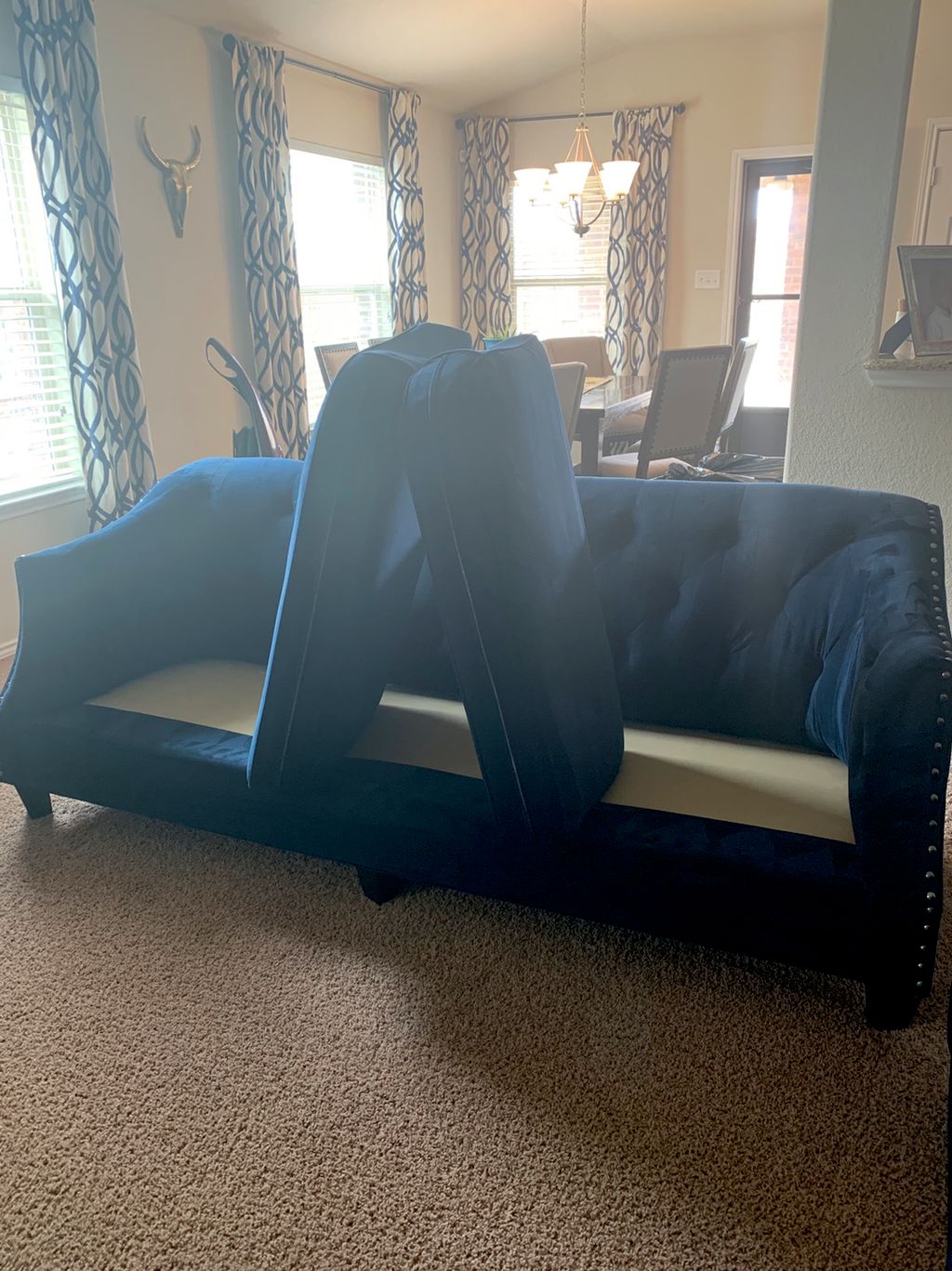 Customer photos