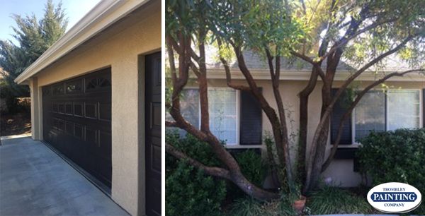 Garage door painting