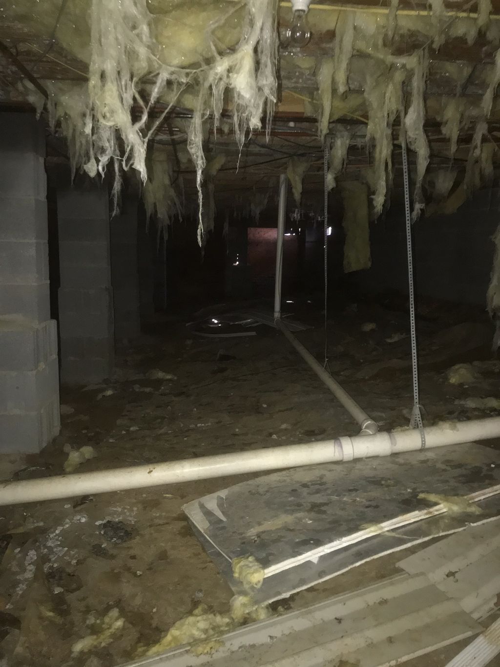 Crawlspace water and mold damage cleanup 