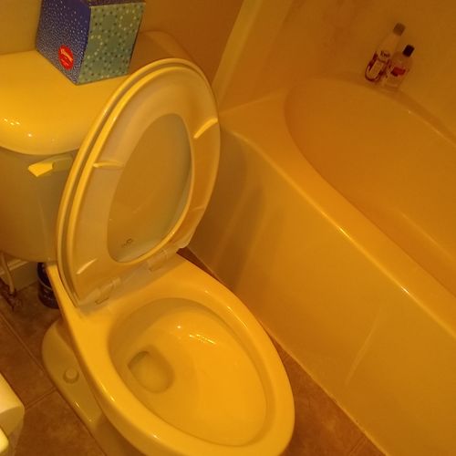3/29 Toilet After Cleaning !